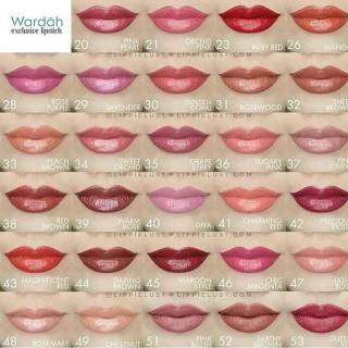 Wardah exclusive lipstick part 1 / lipstik wardah eksl   usif / lip moist