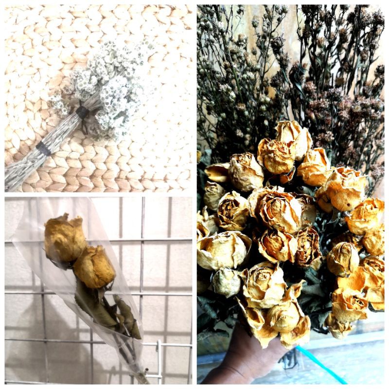 Bunga kering edelweis