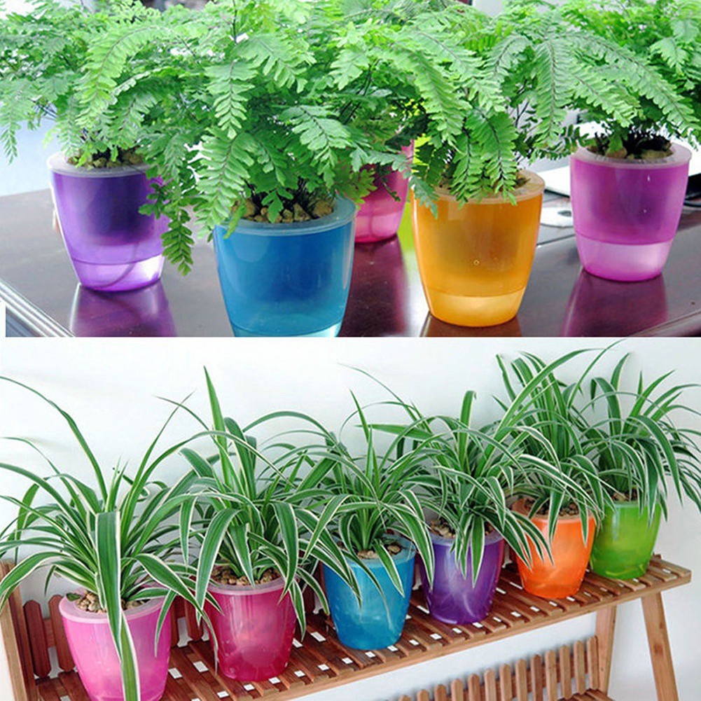  Pot  Bunga  Transparan  Self Watering Shopee Indonesia