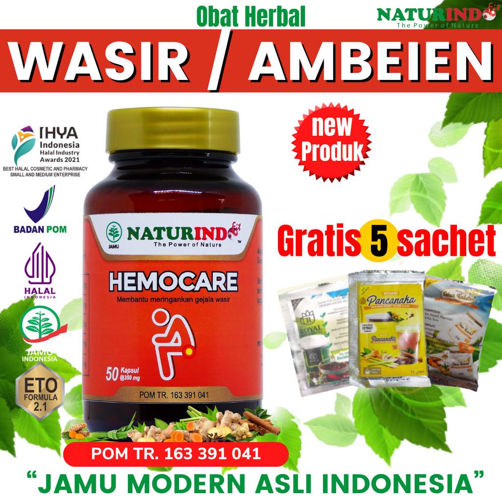 Obat Ambeien Wasir Paling Ampuh Herbal Hemocare Naturindo