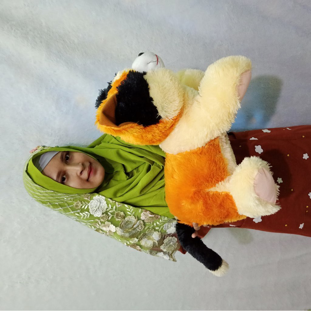 BONEKA Kucing belang XL MURAH