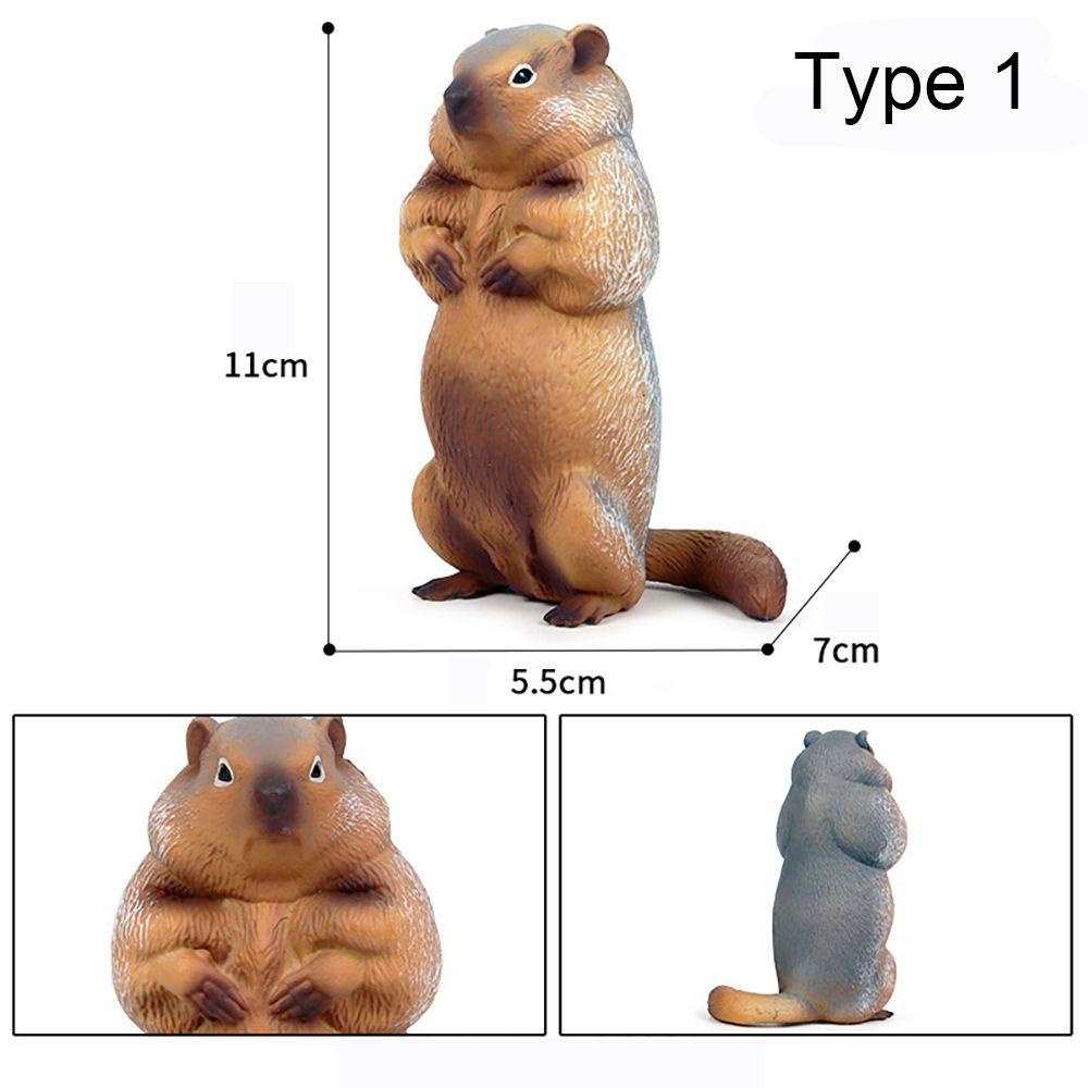 R-flower Mainan Simulasi Marmot Realistis Untuk Edukasi Dini Anak