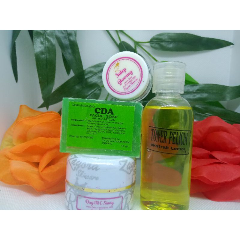 PAKET KOMPLIT DAY GLOW VIT. C