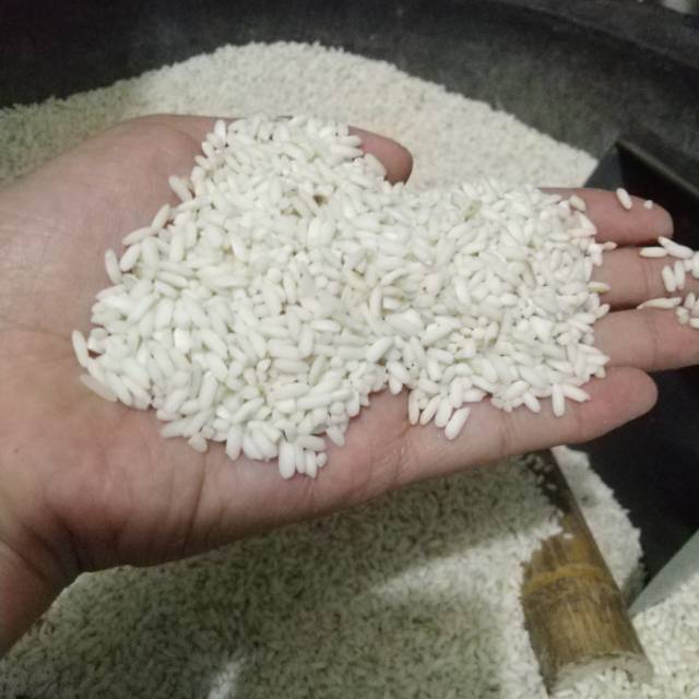 

Beras ketan putih