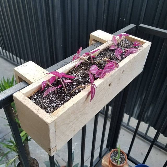 Pot Bunga Kayu Gantung