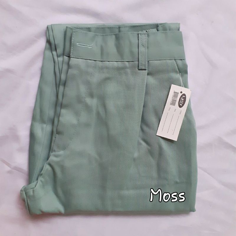 (PREMIUM) BAGGY PANTS SIZE XL LENGKAP WARNA/CELANA PANJANG KERJA KULIAH MAIN