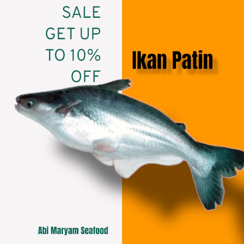 

Ikan Patin Fresh Berkualitas 1kg