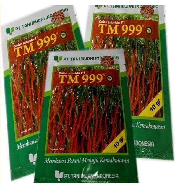 Benih Cabai Cabe Keriting Hibrida F1 TM 999