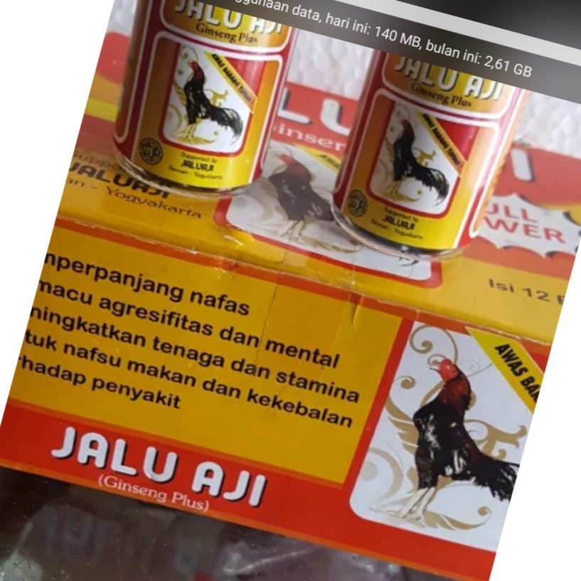

jalu aji jamu lokal ayam tarung menambah stamina