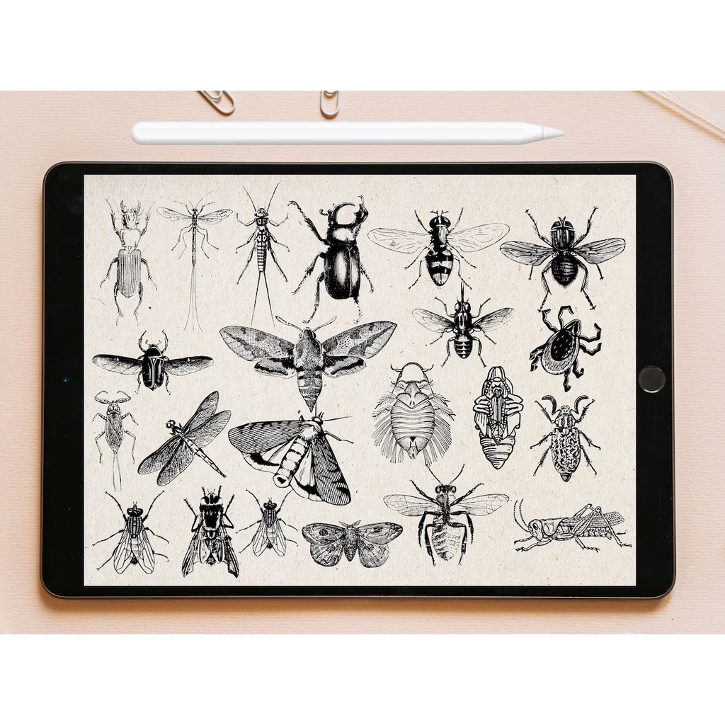 Procreate Brush - Insect Stamp Brushes for Procreate