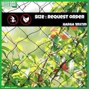 Jaring Rambatan Tanaman/Jaring Tanaman Buah Anggur/Melon/Sayuran/HIJAU free TALI FRAME
