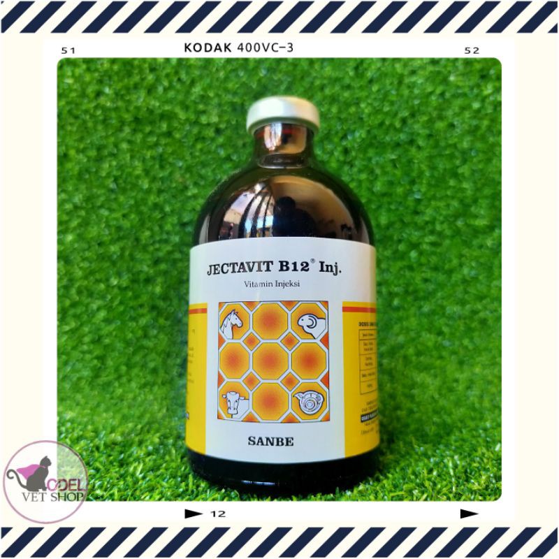 VITAMIN B12 JECTAVIT