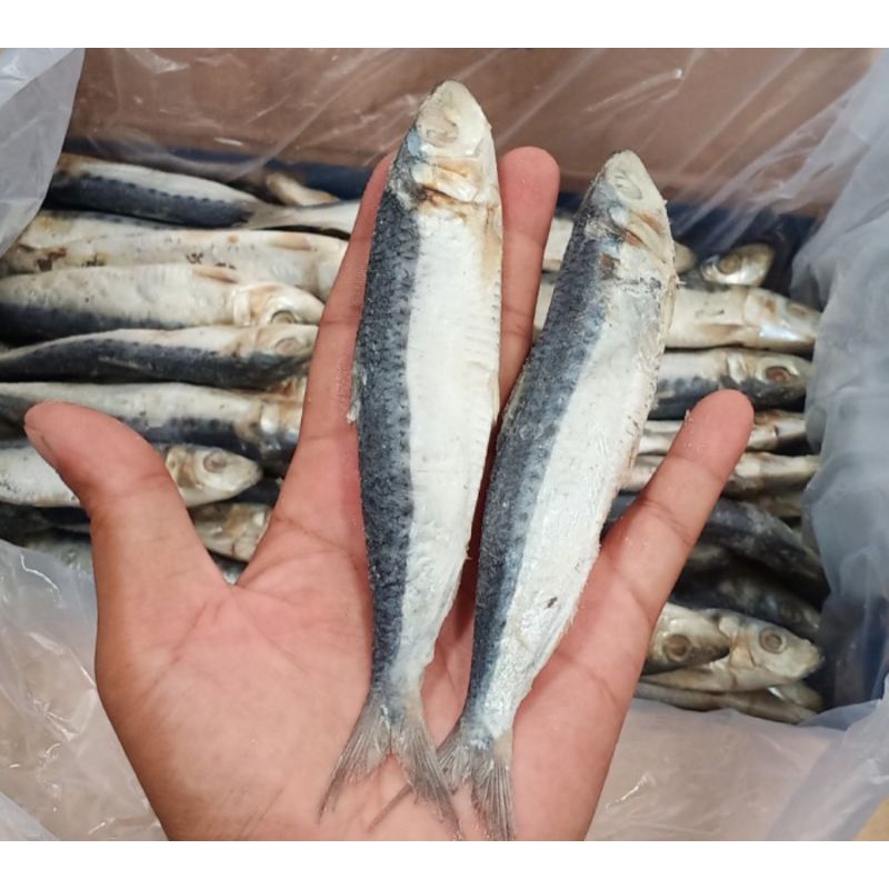 

iKan Asin Japuh Siro 1 Kg Fresh