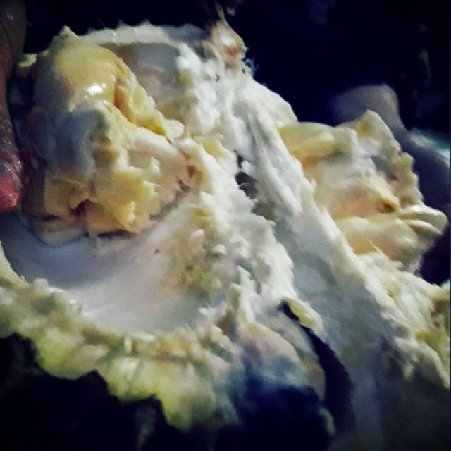 

Duren lokal