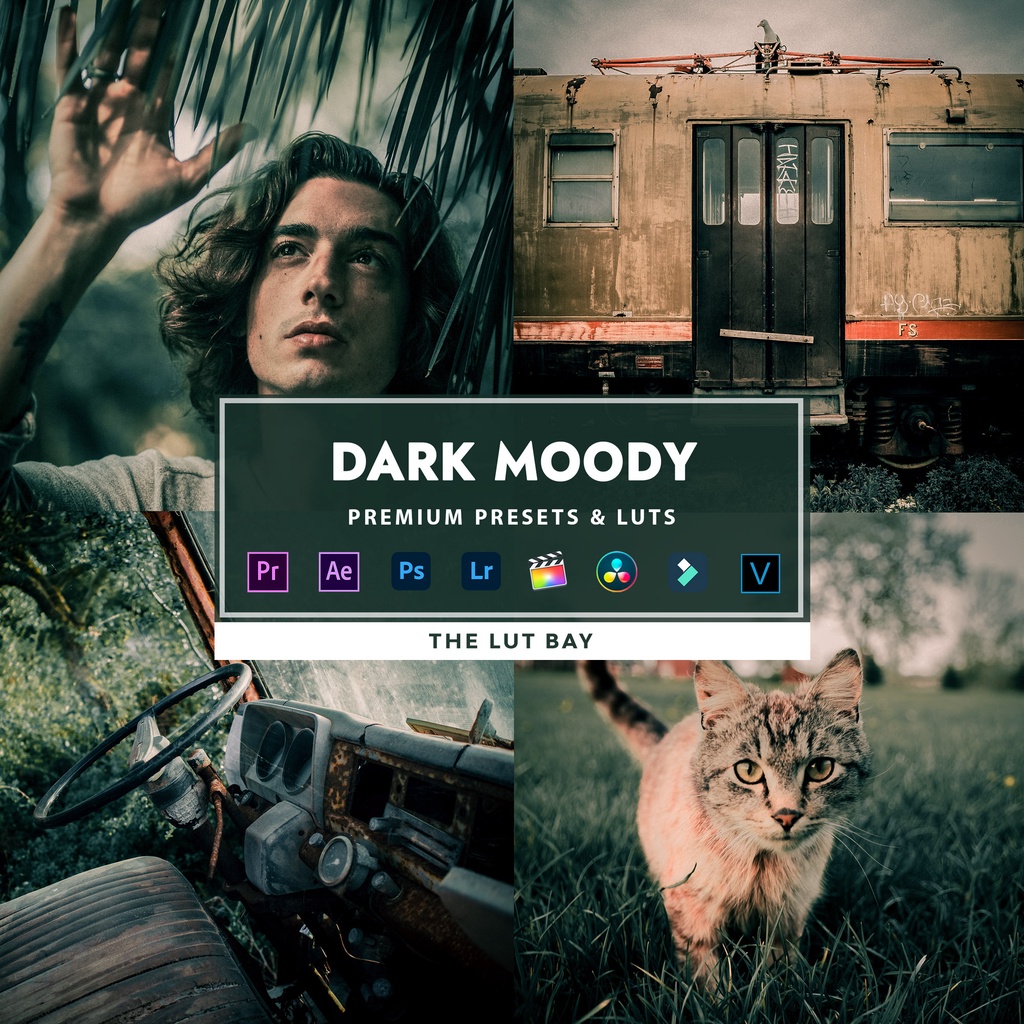 Dark Moody Premium Lightroom Preset & Video LUTs