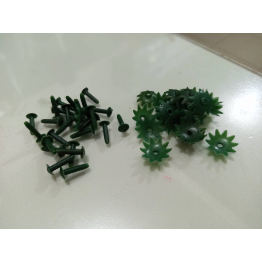 Inti dan Paku Bunga Suyok / Bunga Papan / Rakit Suyok / Inti Suyok / Payung Suyok 100 Gram