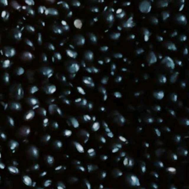 

Kacang gude (cajanus cajan) 1 kg