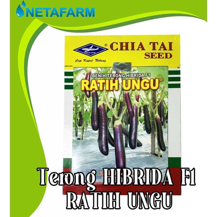 Benih Biji Bibit Terong Ungu Hibrida F1 RATIH UNGU CHIA TAI SEED-10gr