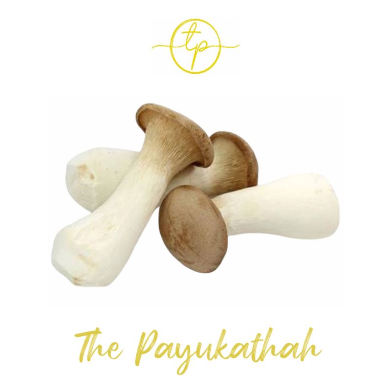 

Jamur King Oyster / Aprikot Per pack