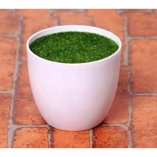 GRATIS RUMPUT Pot Bunga Plastik Putih Bulat dan petak GRATIS RUMPUT Pot Bunga Plastik Putih Bulat dan petak