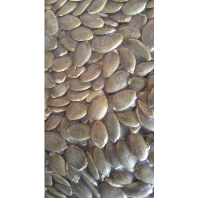

Big Sale PUMPKIN SEEDS ROASTED / BIJI LABU PANGGANG / PEPITA OVEN - 1KG Promo Awal tahun