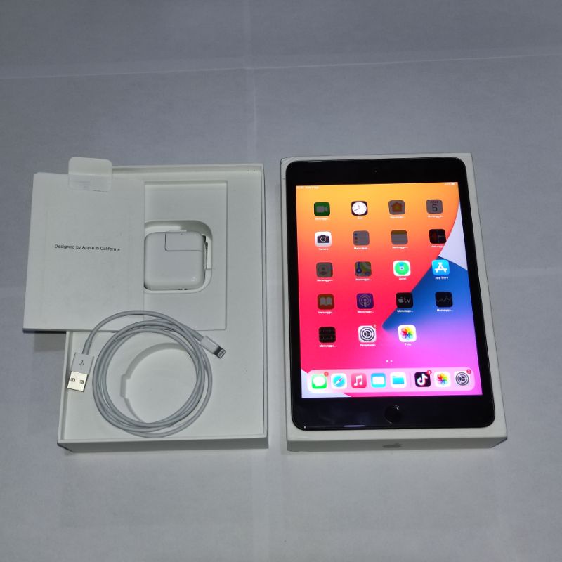 Ipad Mini 5 2019 | 7,9" | 64gb | Wifi Only | seken mulus