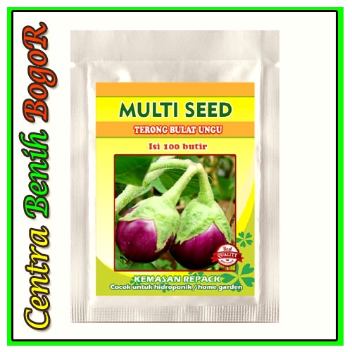 BENIH TERONG UNGU BULAT ISI 100 BIJI - BIBIT TERONG BULAT UNGU