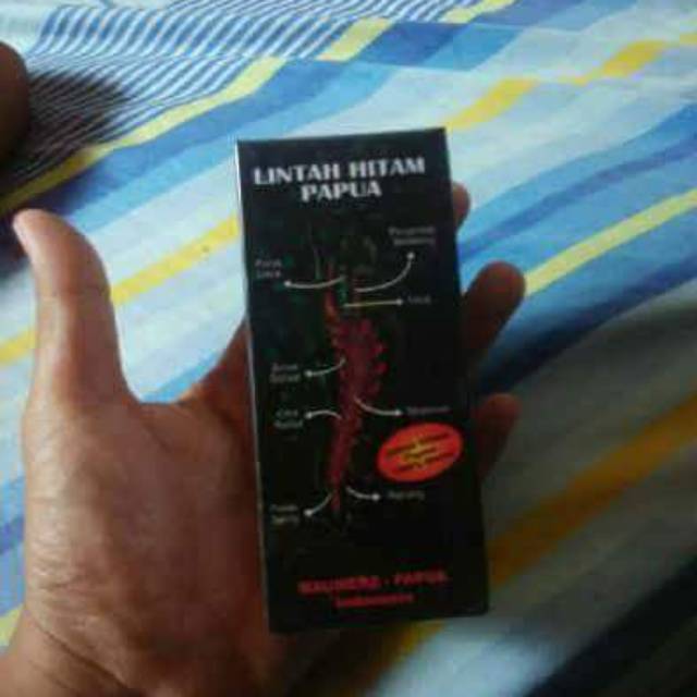 Minyak Lintah Papua Hitam