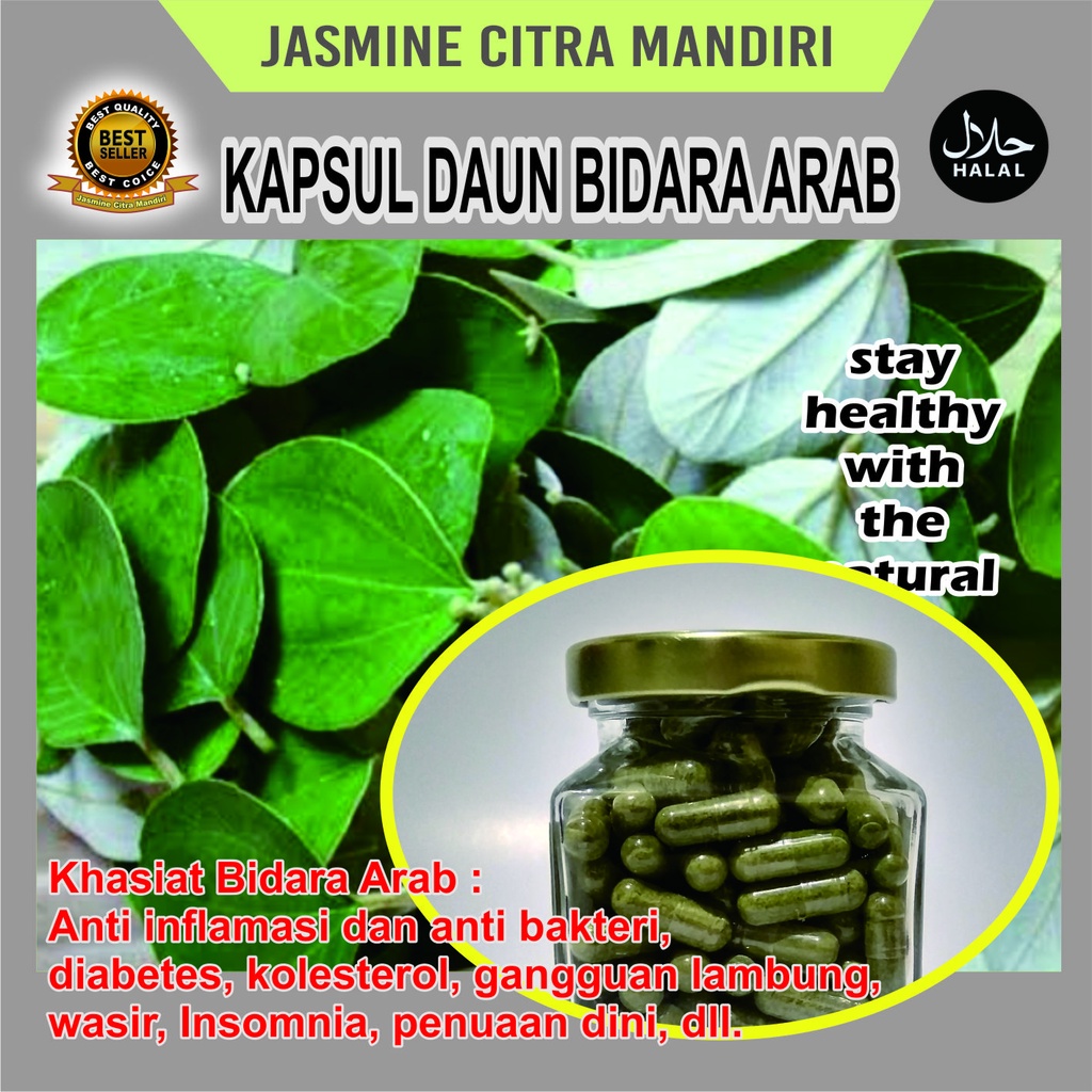 

Daun Bidara Arab Organik Anti Kolesterol