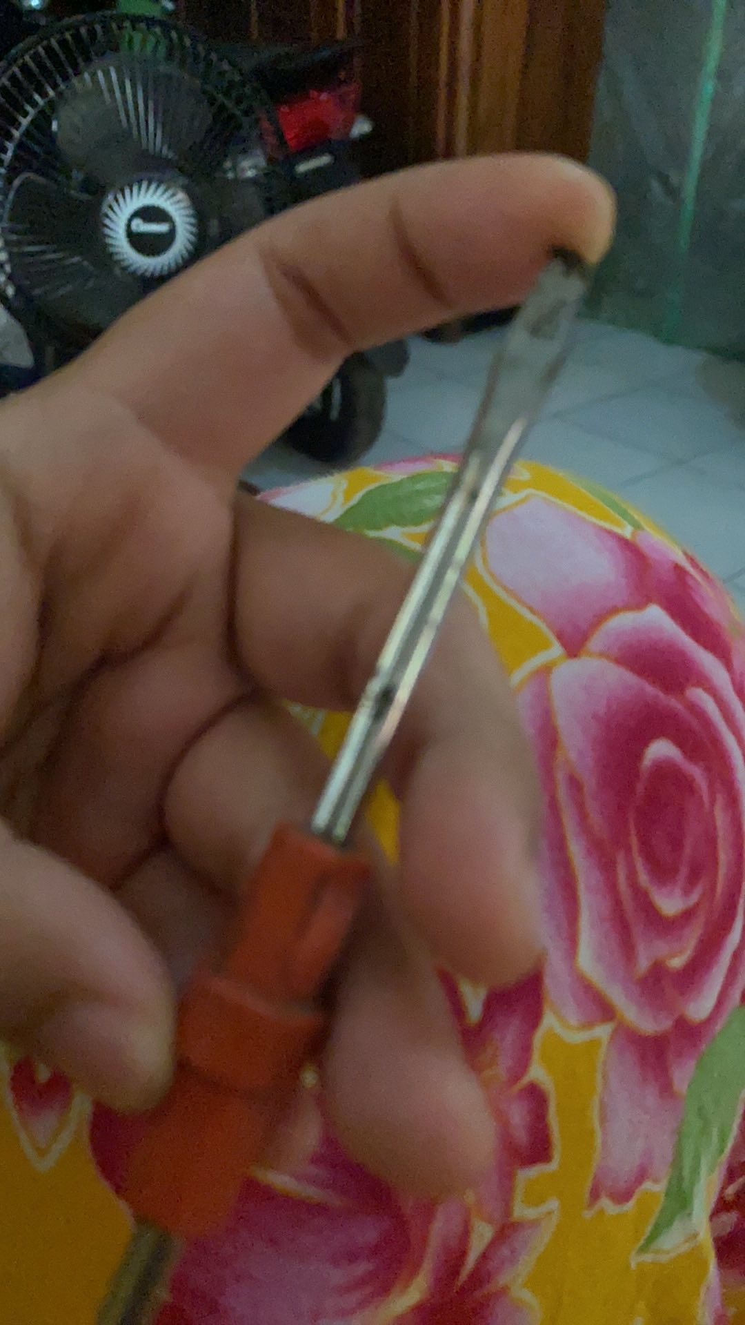 Parutan Keju, Coklat, Sayur Serbaguna