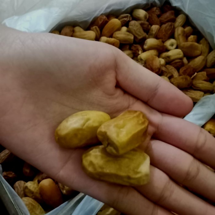 

kurma muda kering 1kg