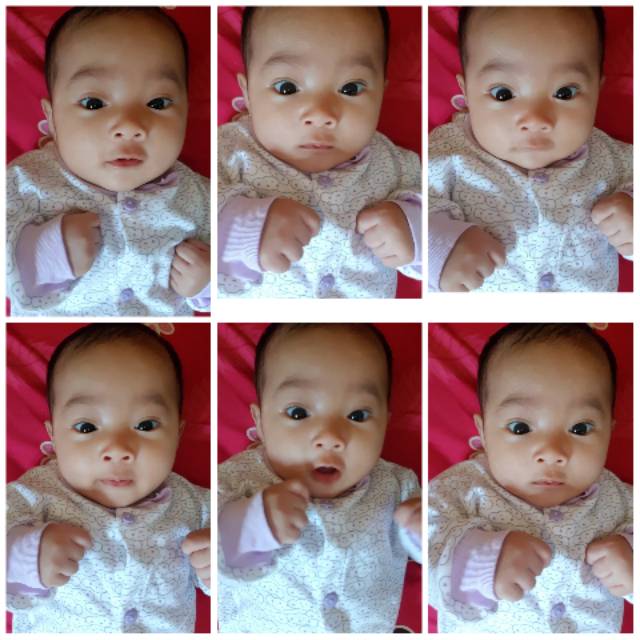 dwipuspafebrianggraeni