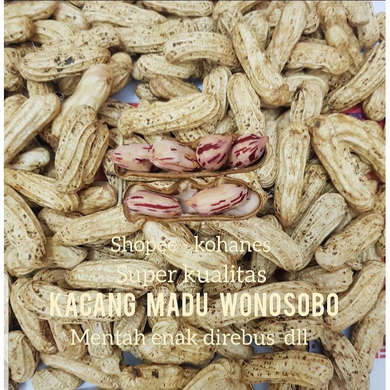 

KACANG TANAH MADU MANIS FRESH BERSIH ( 500 GR )SIAP REBUS - KUKUS