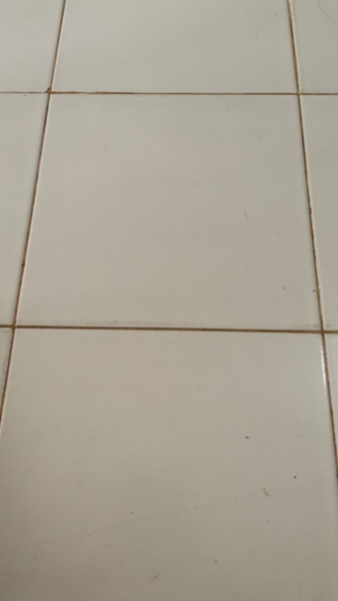 Kepala Shower Filter Aerator 4in1 Mineral Ion Pressure Shower Head Spa Bonus Selang