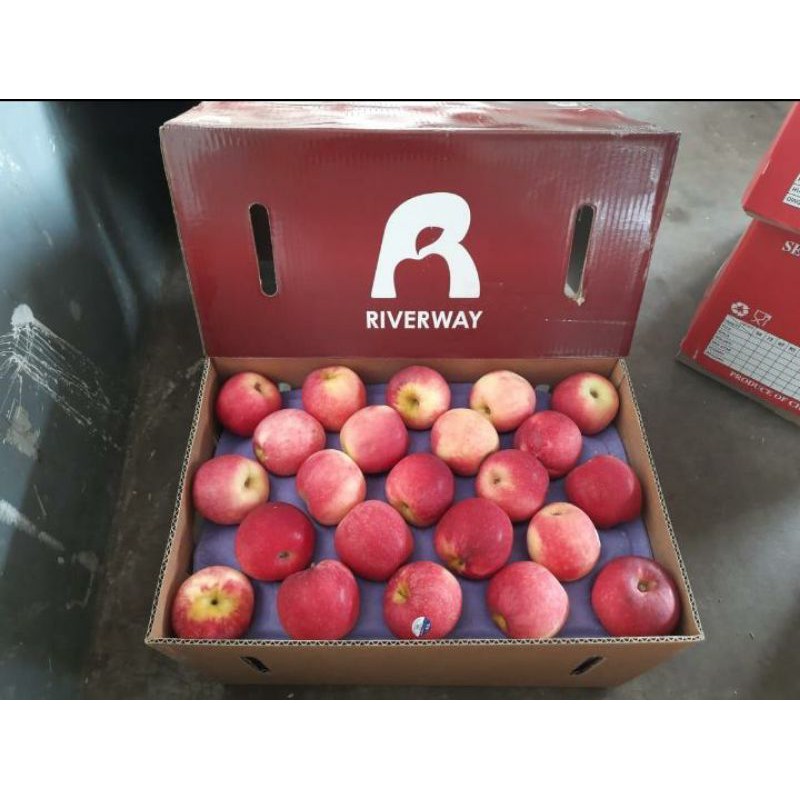 

Apel Pacific Queen New Zealand