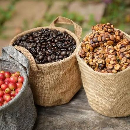 

Honduras Montecillos Washed Coffee 250gr