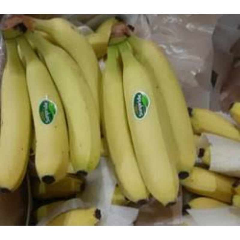 

PISANG CAVENDISH