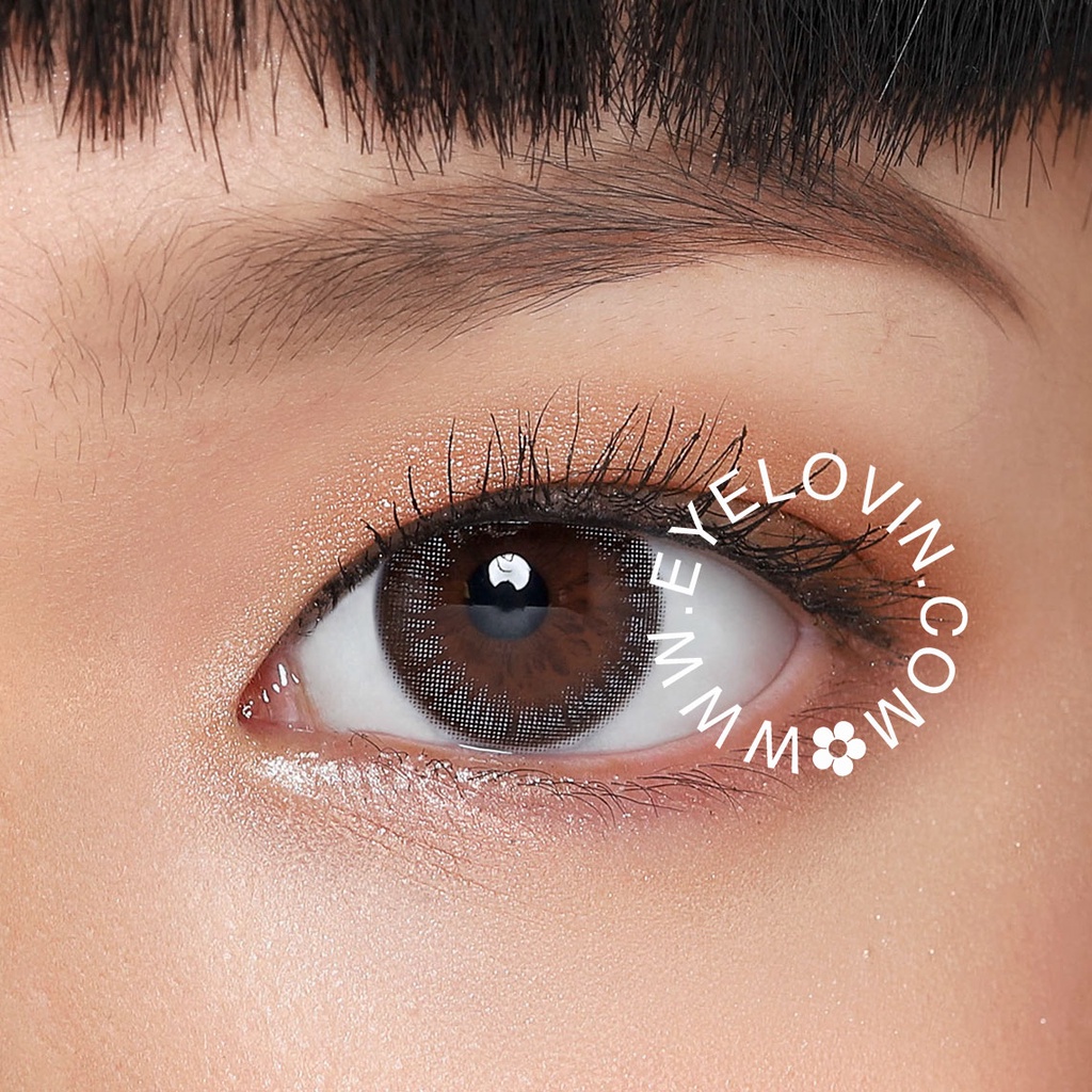 Eyelovin x Patricia Stephanie Softlens Neo Cosmo - Autumn Brown / Grey (Buy 1 Get 1)