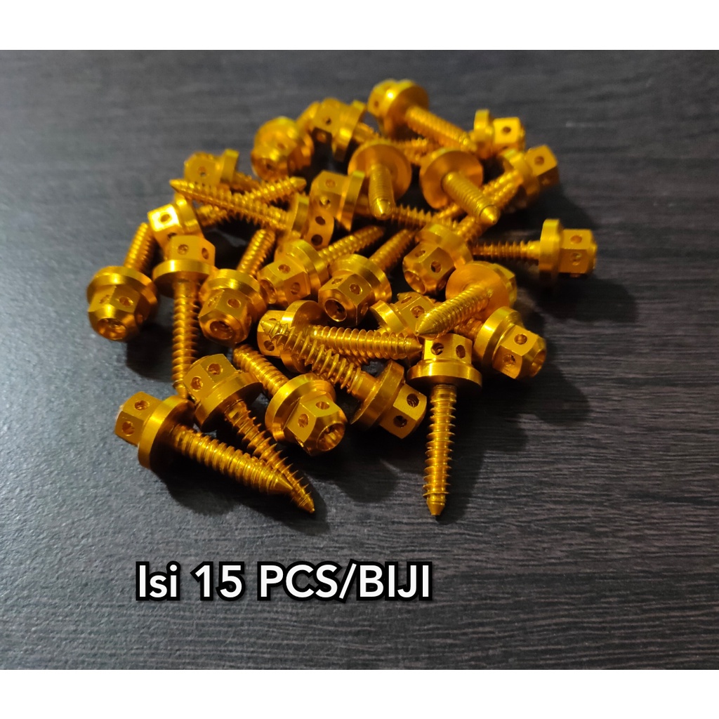 15 PCS BAUT BODY PROBOLT YAMAHA MIO FINO NMAX VIXION XEON NOUVO AEROX LEXI DLL gold / crome