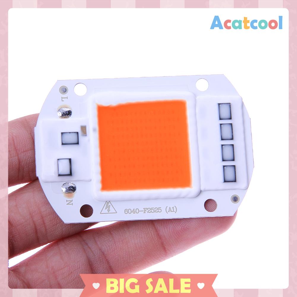 Chip Input Ic Driver Led Cob 50w 220v