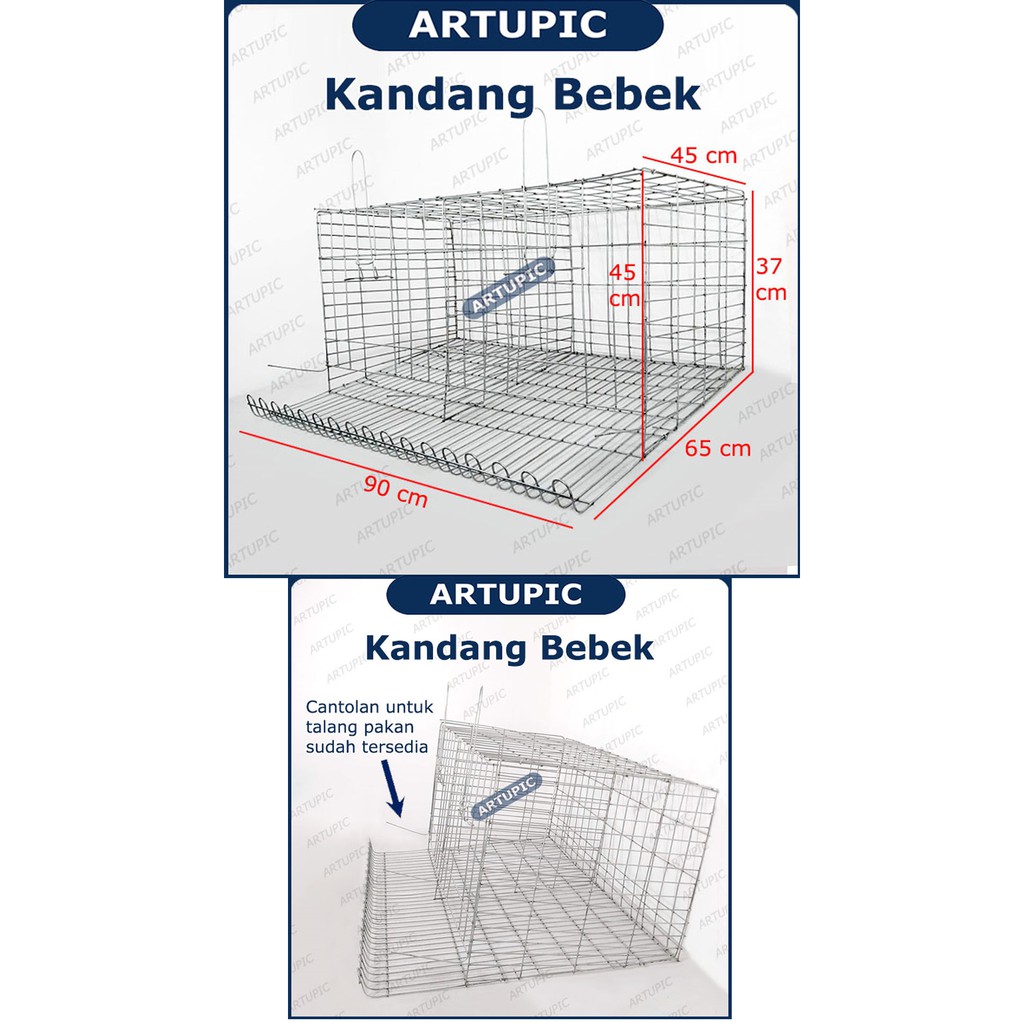 Kandang BEBEK PETELUR Kandang Kawat Baterai Galvanise Bebek