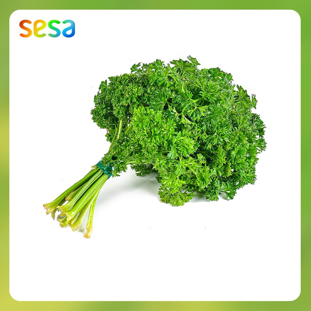 Parsley Organik 50 g