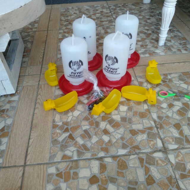 Tempat Minum Puyuh 1 Liter