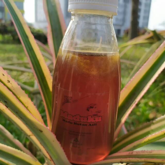 

Maduku#madu hutan riau