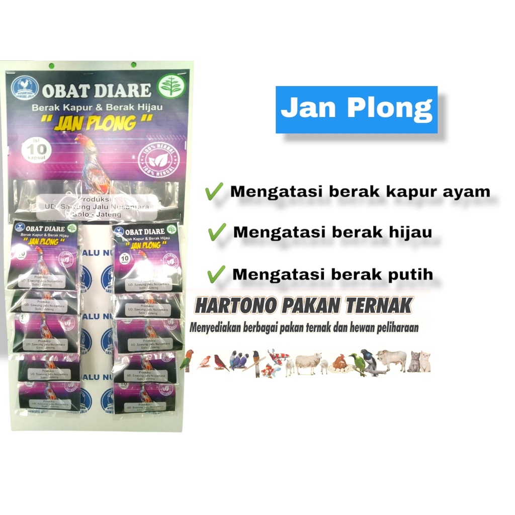 OBAT AYAM DIARE MENCRET AYAM BERAK HIJAU BERAK KAPUR JAN PLONG