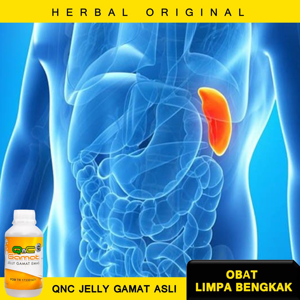 Obat Limpa Bengkak - Obat Limpa Alami - Obat sakit Limpa - Pembengkakan Limpa -  Gangguan Limpa