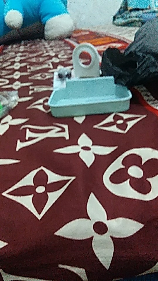 Gantungan Shampo Sabun Cantolan Shampo Dan Sabun Nempel Di Dingding