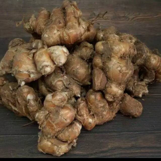 

Fresh Kencur 100 gram
