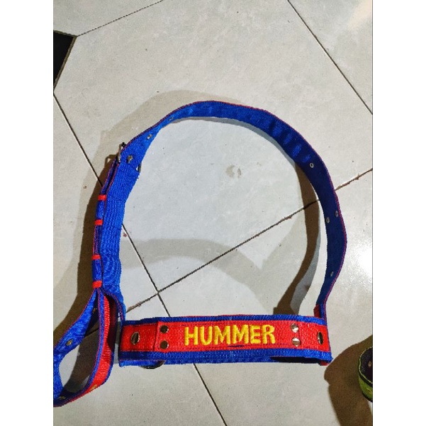 BRANGUS ADA NAMA SAPI KUDA IMPORT HEAD HELTER