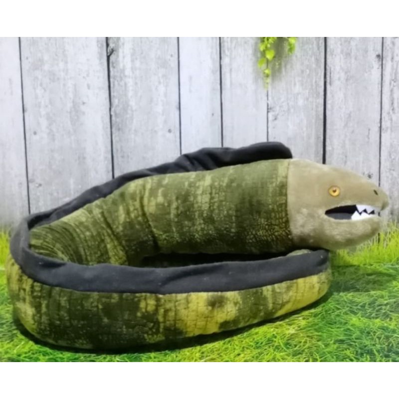 Boneka Belut Listrik(Moa)